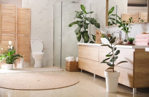 What Makes a Good Bathroom Plant